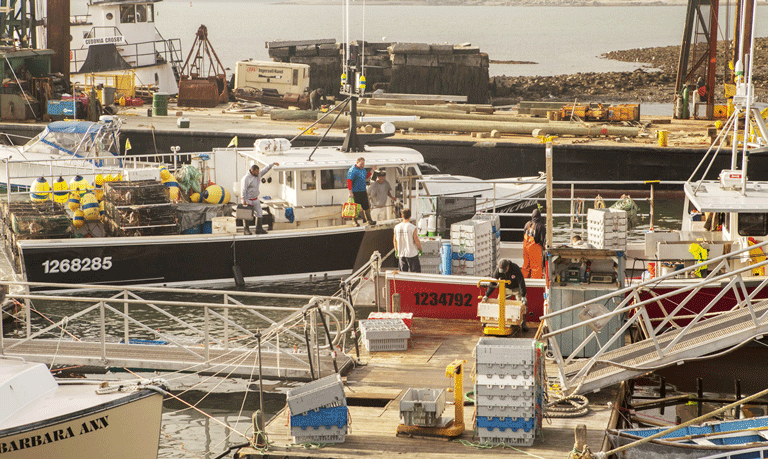 A busy working waterfront scene on Islesford. PHOTO: JACK SULLIVAN