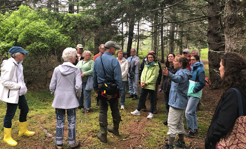 Juliet Lamont explains how fencing out deer until preferred trees have reached a certain height helped her and husband Phil Price regenerate forests with native species. PHOTO: KATE HOTCHKISS TAYLOR