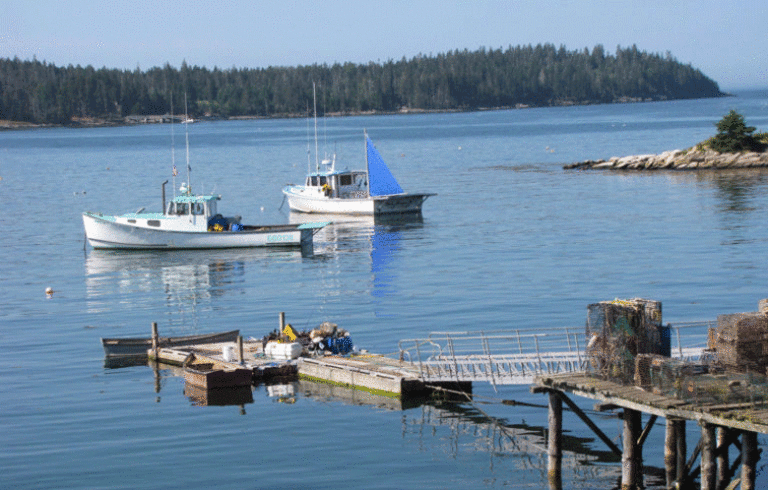 Swan's Island summer scene. FILE PHOTO: TOM GROENING