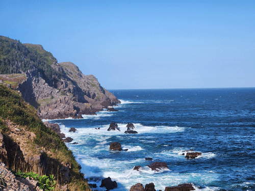 Newfoundland’s coast is as bold as Maine’s.