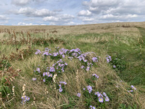 The Barrenlands in Chidley.