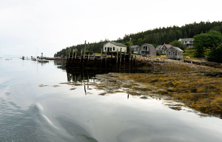 Leaving Frenchboro Harbor. FILE PHOTO: TOM GROENING