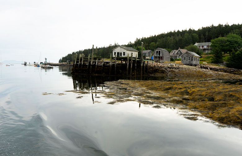 Leaving Frenchboro Harbor. FILE PHOTO: TOM GROENING