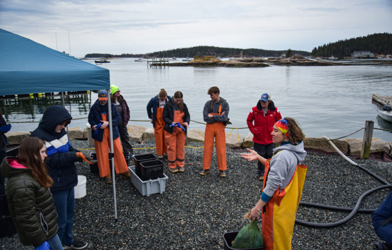University of Maine doctoral candidate Phoebe Jekielk, right, works with students from Islesboro Central School in Stonington.