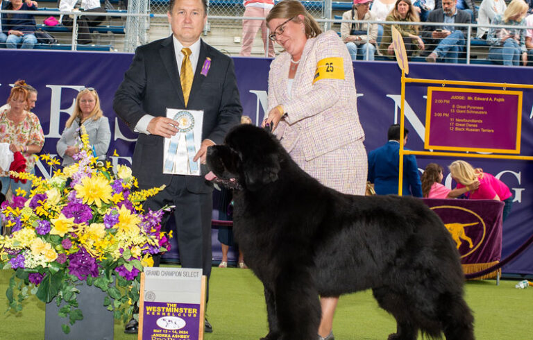 Sam Adams shows off his award-winning looks and posture.