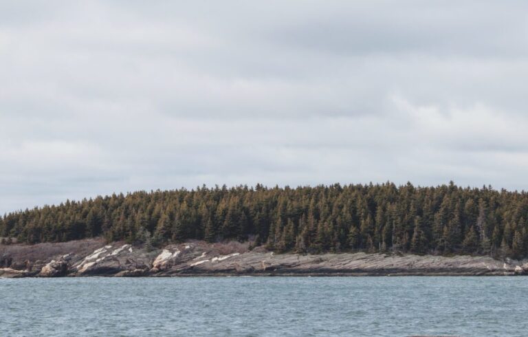 small wooded island