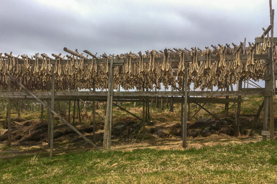 Racks of fish drying. ADOBE STOCK