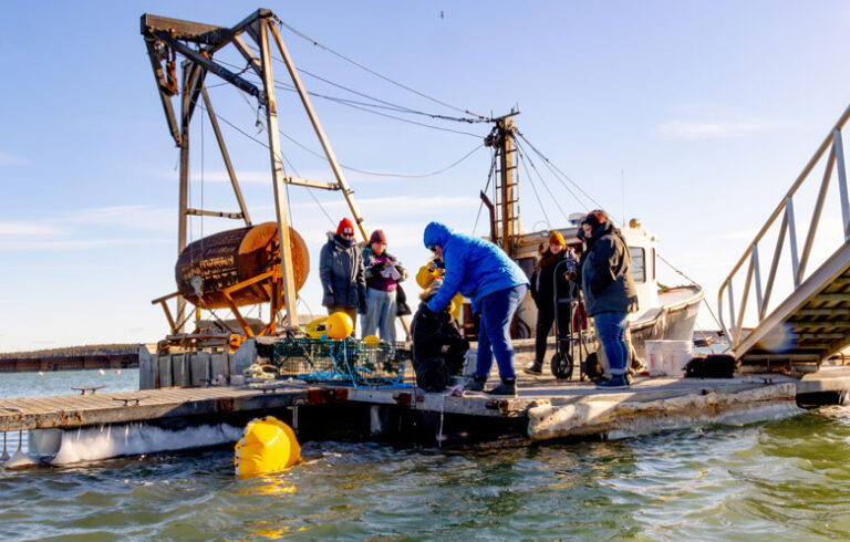 Ropeless lobster gear is demonstrated in Jonesport. PHOTO: JACK SULLIVAN