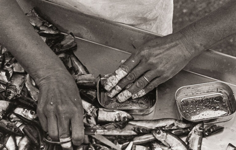 The taped-fingers of sardine packers reveals the cost of the work.