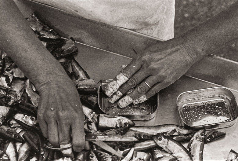 The taped-fingers of sardine packers reveals the cost of the work.