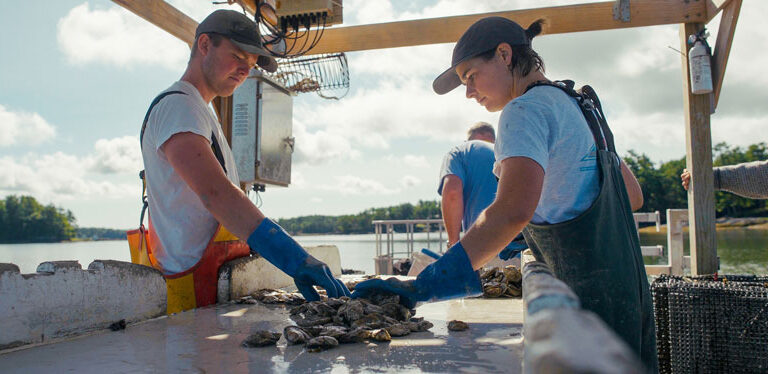 Former apprentice Matt Czuchra, left, and current apprentice Kelly Morgan sort oysters at Bombazine Farms. The image is from Maine Aquaculture Association’s Tending the Tides documentary, courtesy Maine Aquaculture Association.