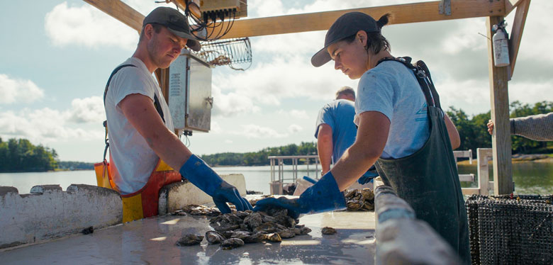 Former apprentice Matt Czuchra, left, and current apprentice Kelly Morgan sort oysters at Bombazine Farms. The image is from Maine Aquaculture Association’s Tending the Tides documentary, courtesy Maine Aquaculture Association.