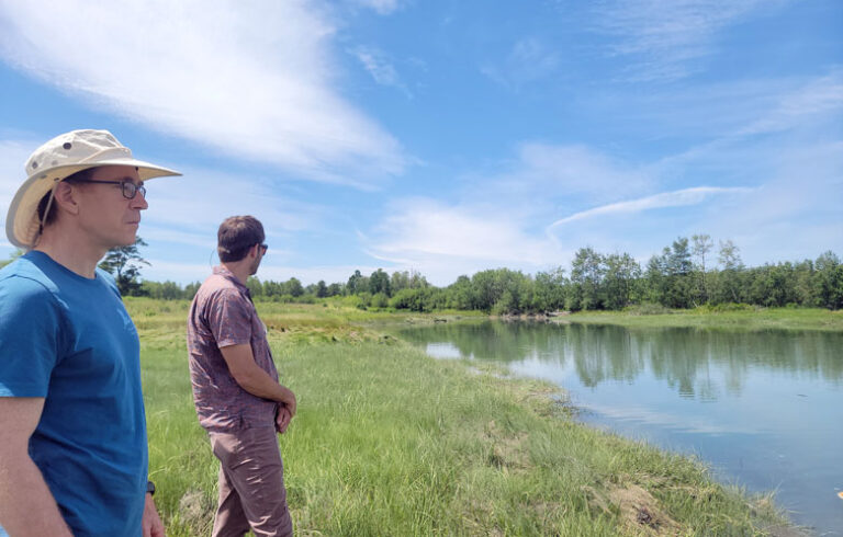 A former golf course is going back to nature. PHOTO: CATHERINE SCHMITT
