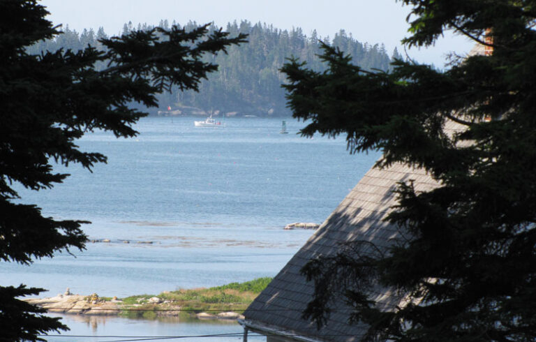 A view of the harbor, framed by trees. FILE PHOTO: TOM GROENING