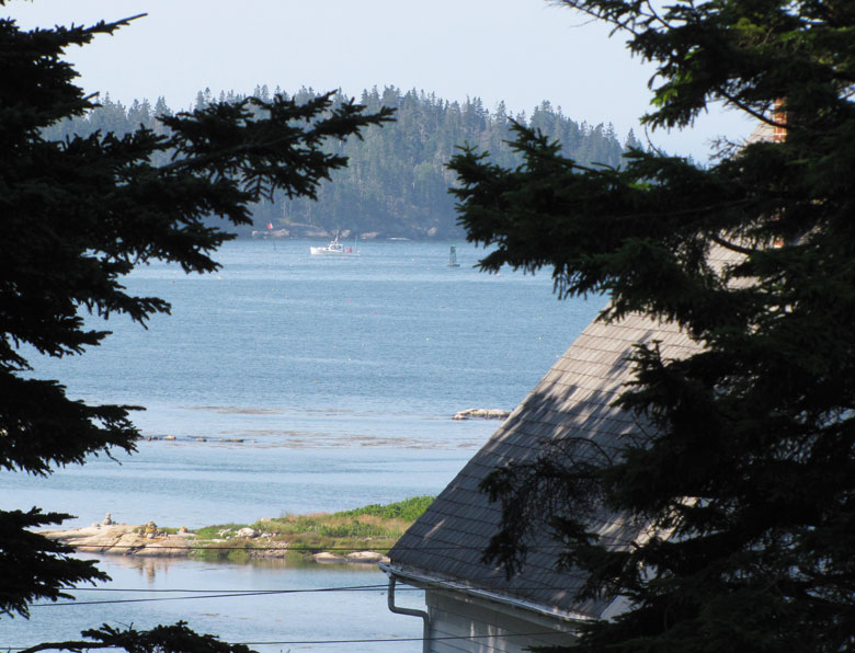 A view of the harbor, framed by trees. FILE PHOTO: TOM GROENING