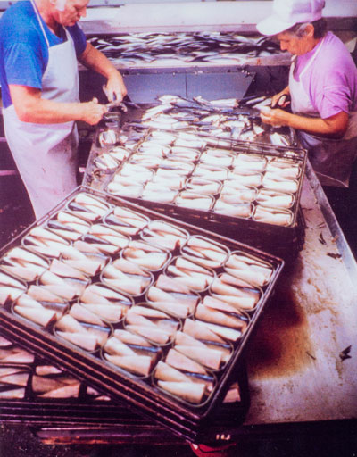 ita and Lanny Willey are shown packing sardines, circa 1990. Rita Willey, a five-time winner of the World Championship Sardine Packing Contest, will greet visitors 1-4 p.m. and will autograph commemorative SardineFest postcards and tell tales of working at a sardine cannery.