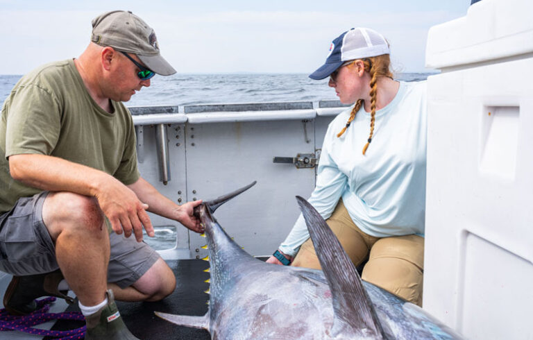 Walt Golet, left, and Kay Zipp capture, tag, and release Atlantic bluefin tuna in the Gulf of Maine for research in August 2023. PHOTO: COURTESY UNIVERSITY OF MAINE