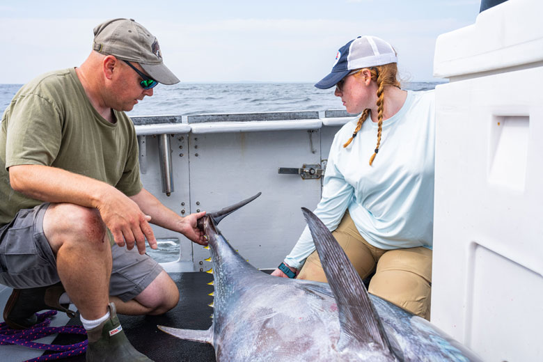 Walt Golet, left, and Kay Zipp capture, tag, and release Atlantic bluefin tuna in the Gulf of Maine for research in August 2023. PHOTO: COURTESY UNIVERSITY OF MAINE