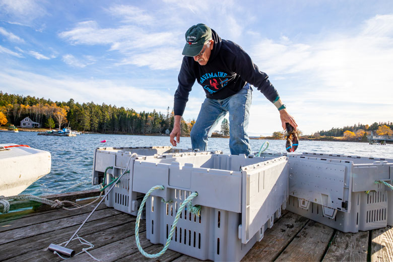 Cushing fisherman Danny Staples handles recently caught lobster at his private wharf in October. Staples has led a town effort to buy a nearby property and make it into the community’s first public working waterfront. PHOTO: JACK SULLIVAN