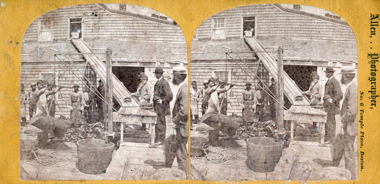 A stereograph image captured the William Underwood Co. cannery, which operated in Southwest Harbor at Clark’s Point, circa 1870.