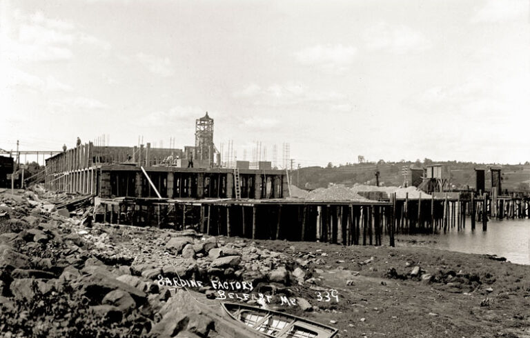 Belfast’s sardine packing plant under construction in the early 20th century. PHOTO: PENOBSCOT MARINE MUSEUM
