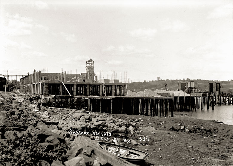 Belfast’s sardine packing plant under construction in the early 20th century. PHOTO: PENOBSCOT MARINE MUSEUM